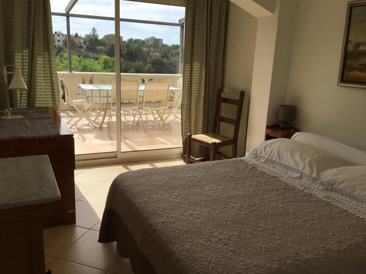 Villa Paradiso, Logement Avec Piscine, Nice Nord Eksteriør bilde
