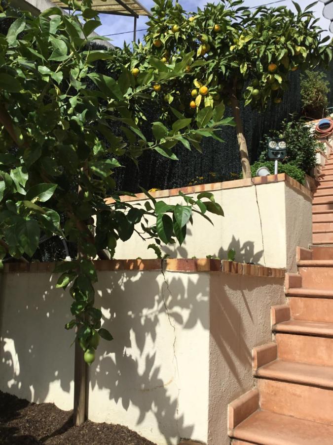 Villa Paradiso, Logement Avec Piscine, Nice Nord Eksteriør bilde